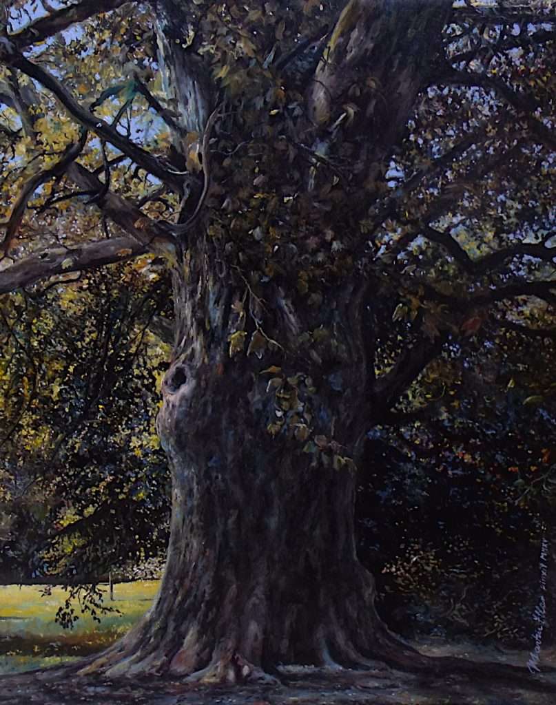Platanus x hispanica von Martin Eller, WVZ 1933 aus 2017, Öl auf Leinwand 50 x 40 cm; Kontrapunkt zu Ausstellungsstück Nr. 7 - Galerie Alte Schule