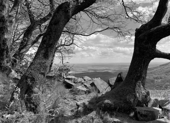 Kleiner Gleichberg, Blick nach Osten, Fotografie von Martin Eller - Galerie Alte Schule